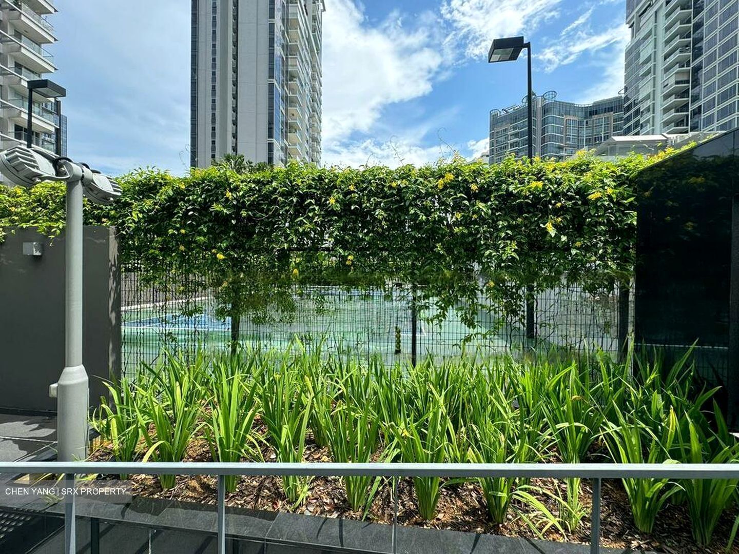 Honolulu Tower (D10), Apartment #559895121
